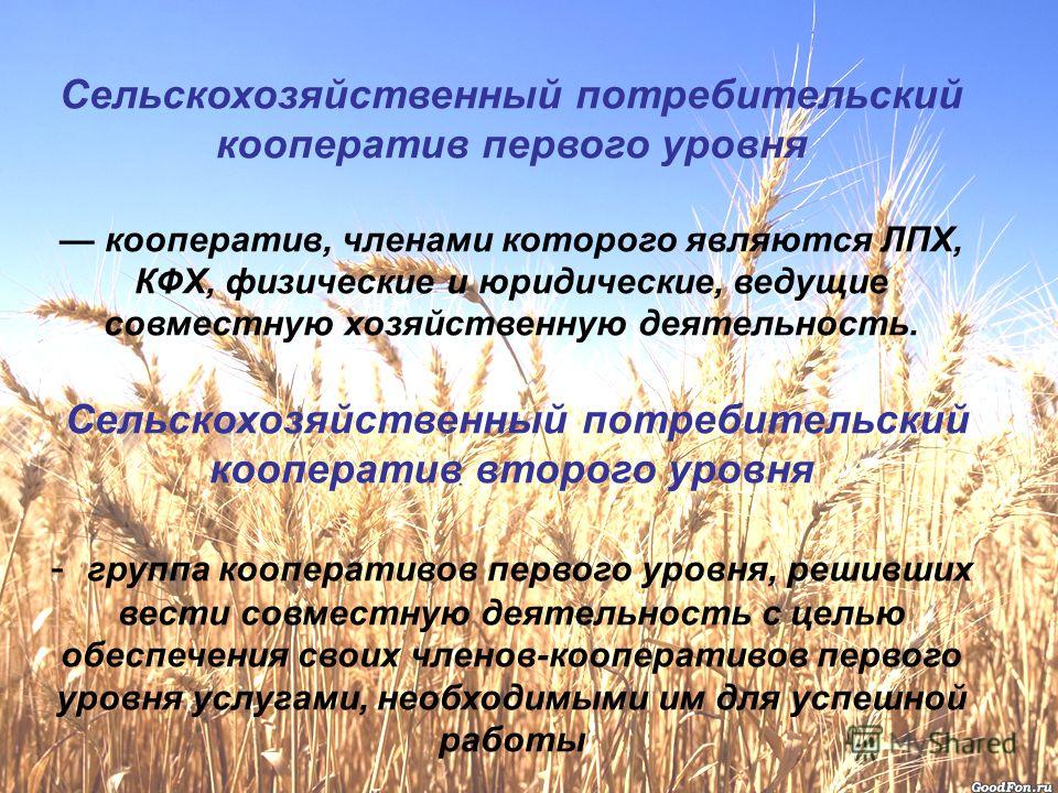 Потребительский кооператив это - Quara.ru