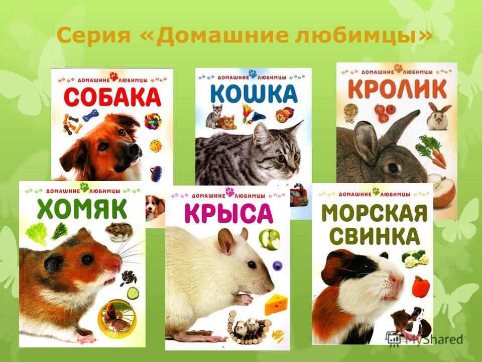 Книги о домашних животных скачать