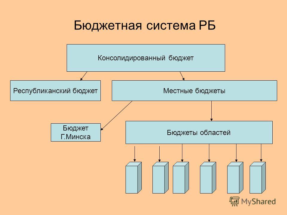 Реферат: Понятие и структура государственного бюджета Республики Беларусь