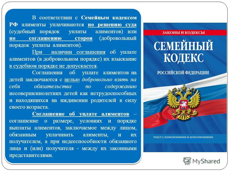 размер алиментов на ребенка семейный кодекс рф никак отозвался