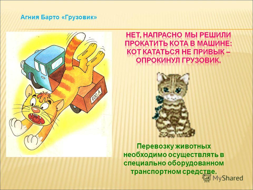 А барто стих кот А барто стих кот