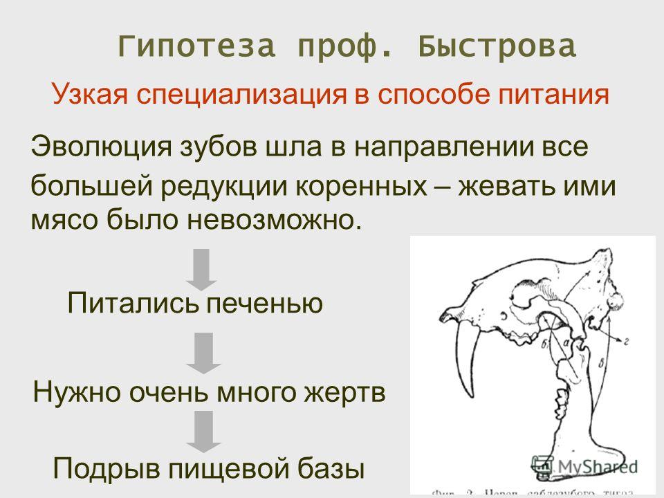 Прически для женщины с продолговатым лицом Прически для женщины с продолговатым лицом