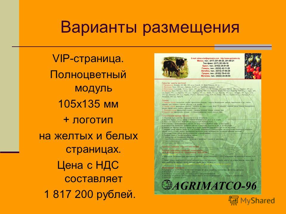 Варианты размещения VIP-страница. Полноцветный модуль 105x135 мм + логотип на желтых и белых страницах. Цена с НДС составляет 1 817 200 рублей.