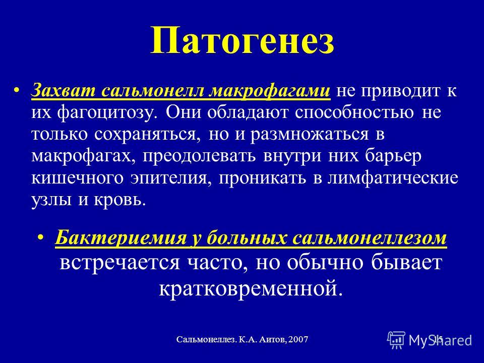 Реферат: Сальмонеллез - salmonellosis: этиология, эпидемиология, патогенез Реферат: Сальмонеллез - salmonellosis: этиология, эпидемиология, патогенез