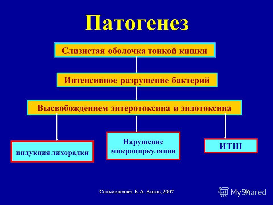 Реферат: Сальмонеллез - salmonellosis: этиология, эпидемиология, патогенез Реферат: Сальмонеллез - salmonellosis: этиология, эпидемиология, патогенез