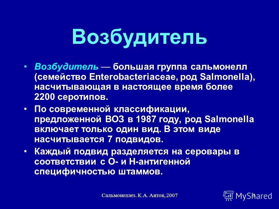 Реферат На Тему Сальмонеллез У Человека