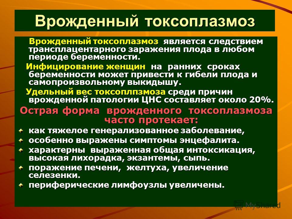 Токсоплазмоз И Беременность Реферат Токсоплазмоз И Беременность Реферат