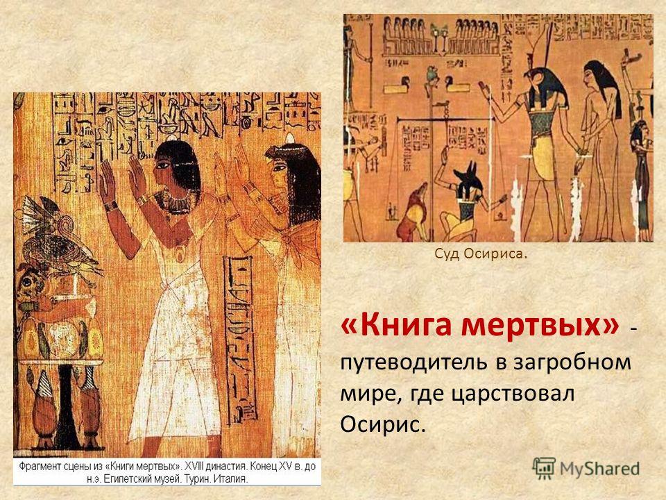 Книга мертвых древнего египта скачать