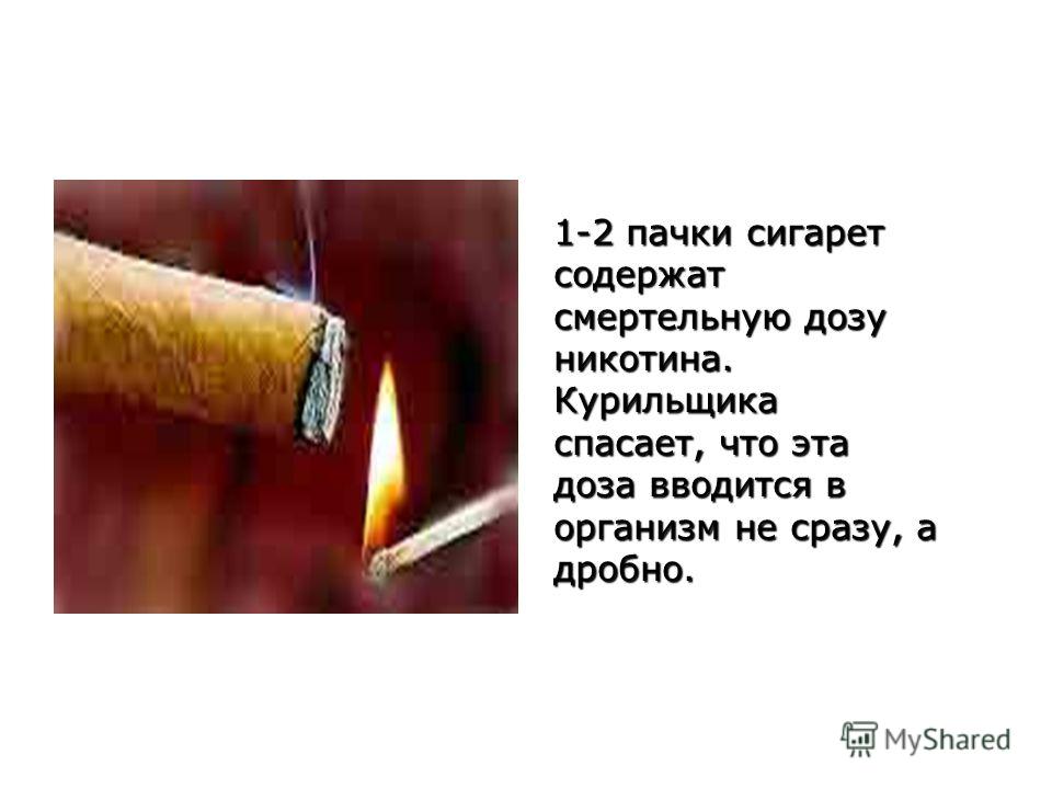 1-2 пачки сигарет содержат смертельную дозу никотина. Курильщика спасает, что эта доза вводится в организм не сразу, а дробно.
