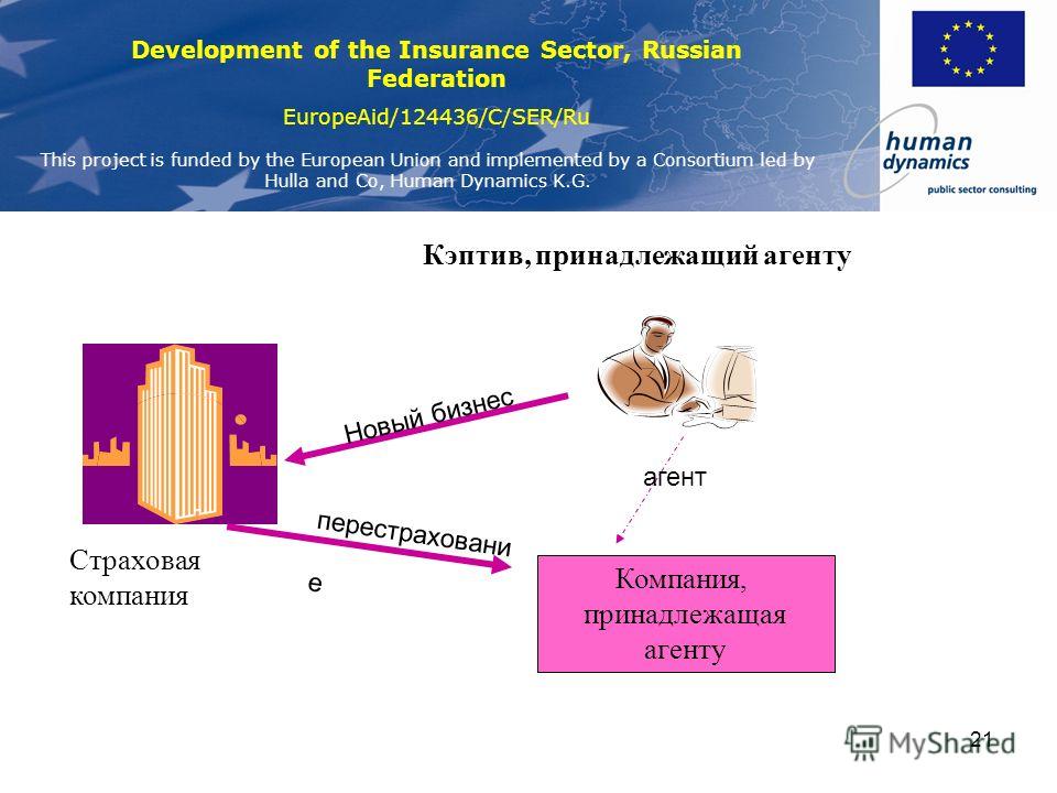 Development Of Russian In The 6