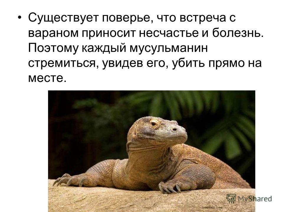 [PUNIQRANDLINE-(au-dating-names.txt) 35 Реферат на тему варан 4893