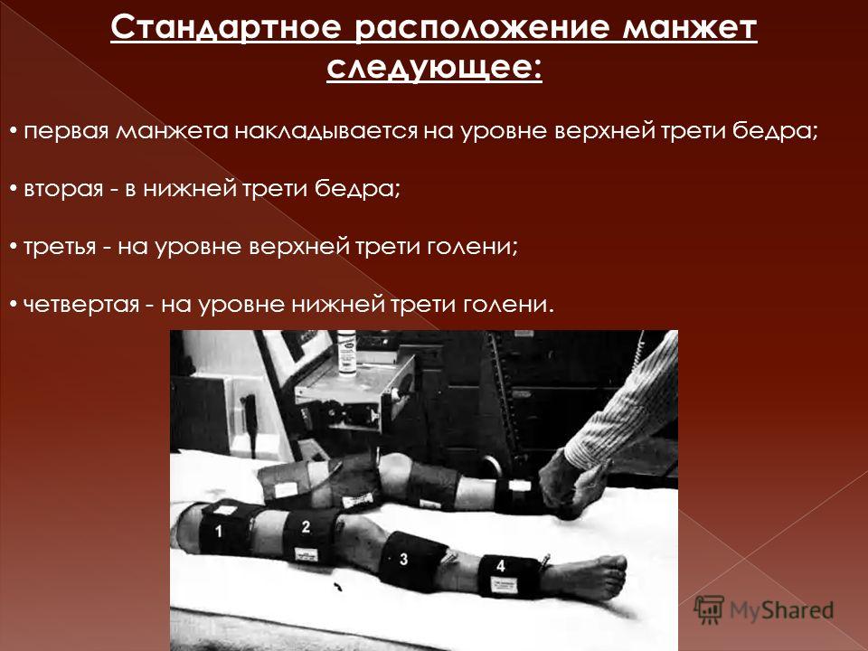 http://images.myshared.ru/6/691569/slide_10.jpg