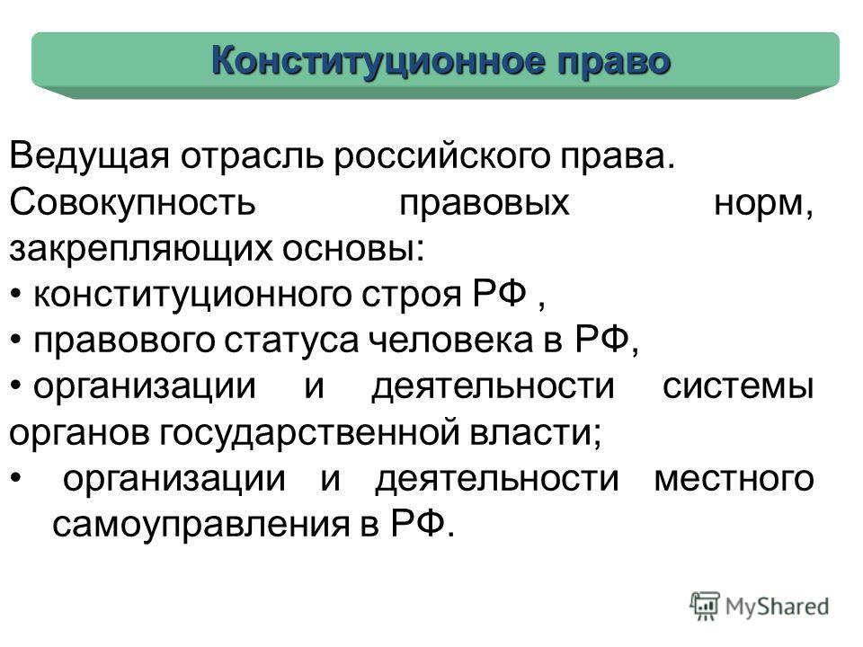 Реферат по теме Конституционное право- ведущая отрасль Российского права Реферат по теме Конституционное право- ведущая отрасль Российского права
