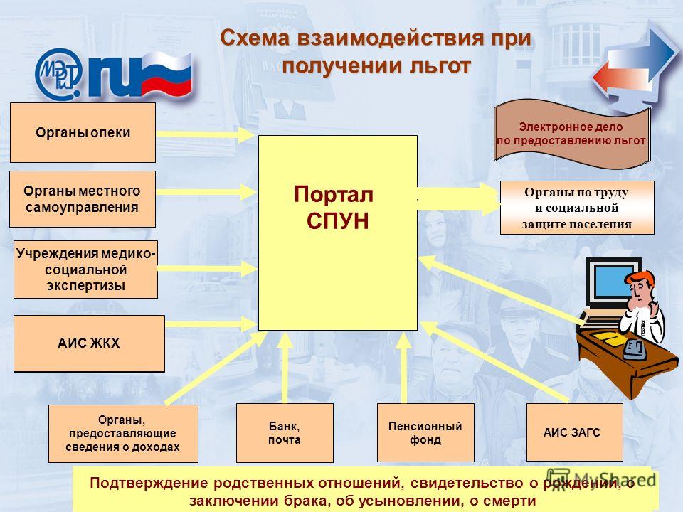 Функции родственных отношений Функции родственных отношений