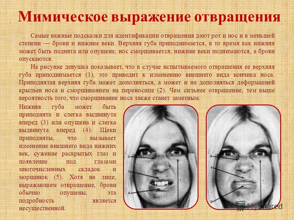 Появилось отвращение к мясу почему Появилось отвращение к мясу почему