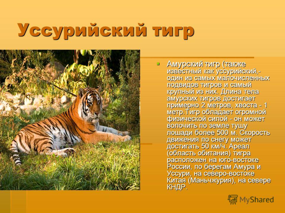 Как скорость связана с силой Как скорость связана с силой
