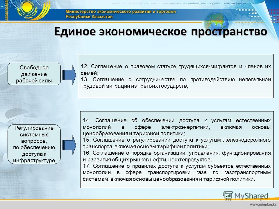 Статус иностранного мигранта Статус иностранного мигранта