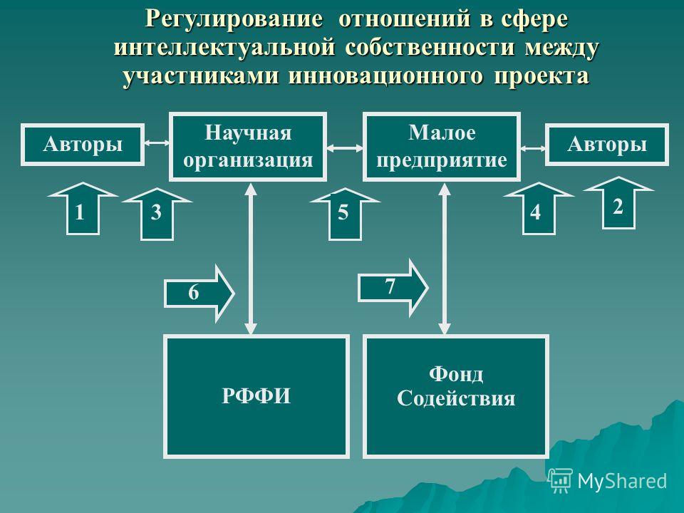 Участники команды проекта принимающие участие в управлении проектом - Basanova.r