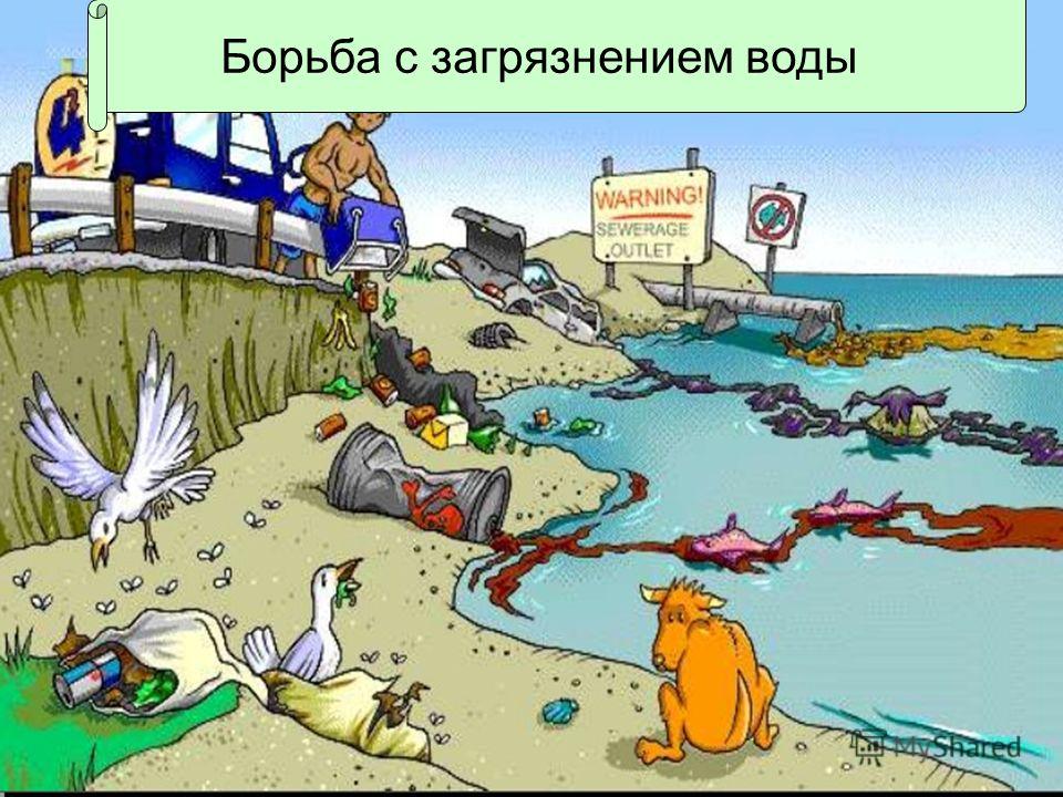 Essay About Marine Pollution