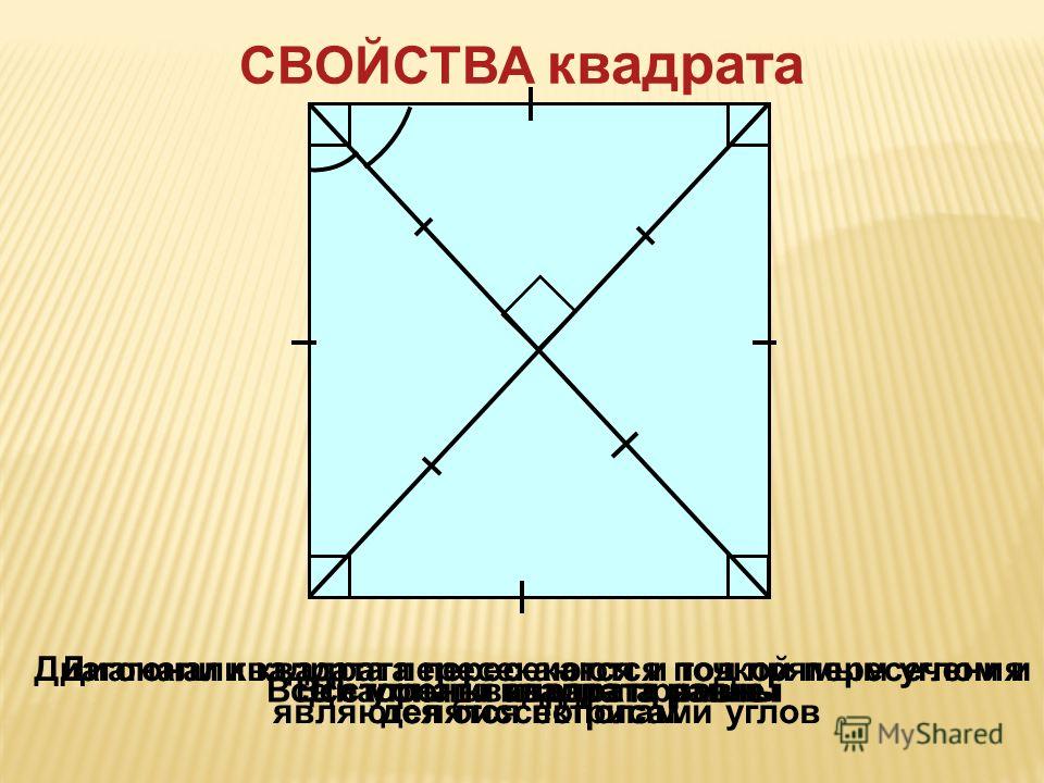 Все стороны квадрата равныВсе углы квадрата прямые СВОЙСТВА квадрата Диагонали квадрата пересекаются и точкой пересечения делятся пополам Диагонали квадрата пересекаются под прямым углом и являются биссектрисами углов Диагонали квадрата равны