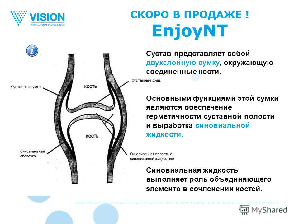 Какое значение имеют суставы 84