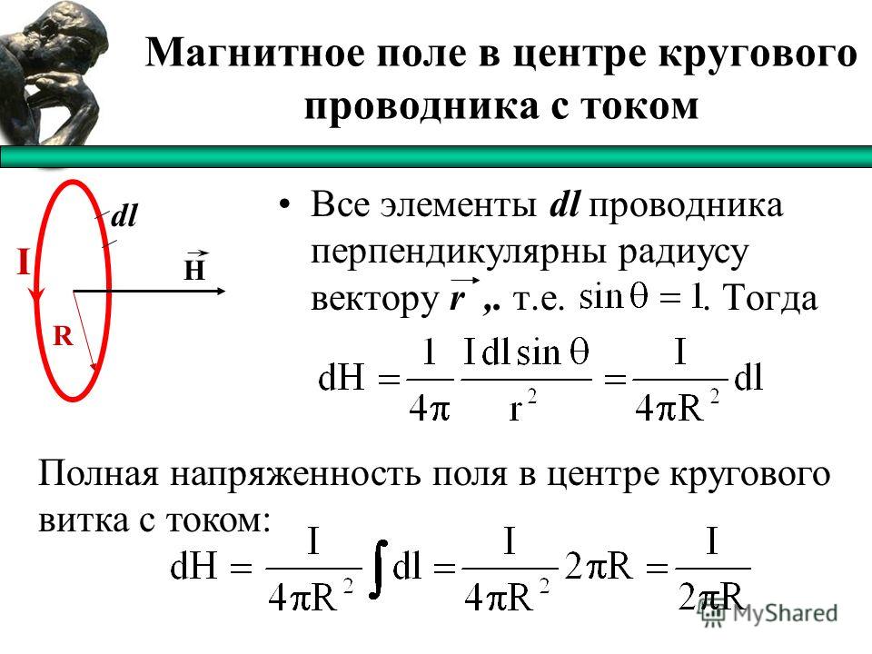 Ирга. Ирга канадская - m ДВЕНАДЦАТЬ МЕСЯЦЕВ - сказка с картинками