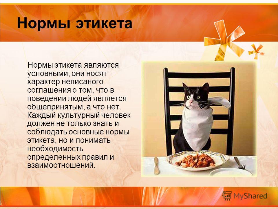 Носить характер чего какой Носить характер чего какой