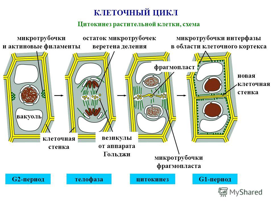 Беспроводная веб камера своими руками фото 317