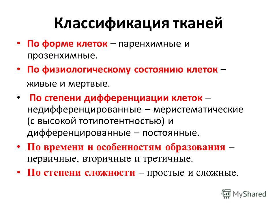 Дайте характеристику образовательной ткани приведите примеры Классификация тканей