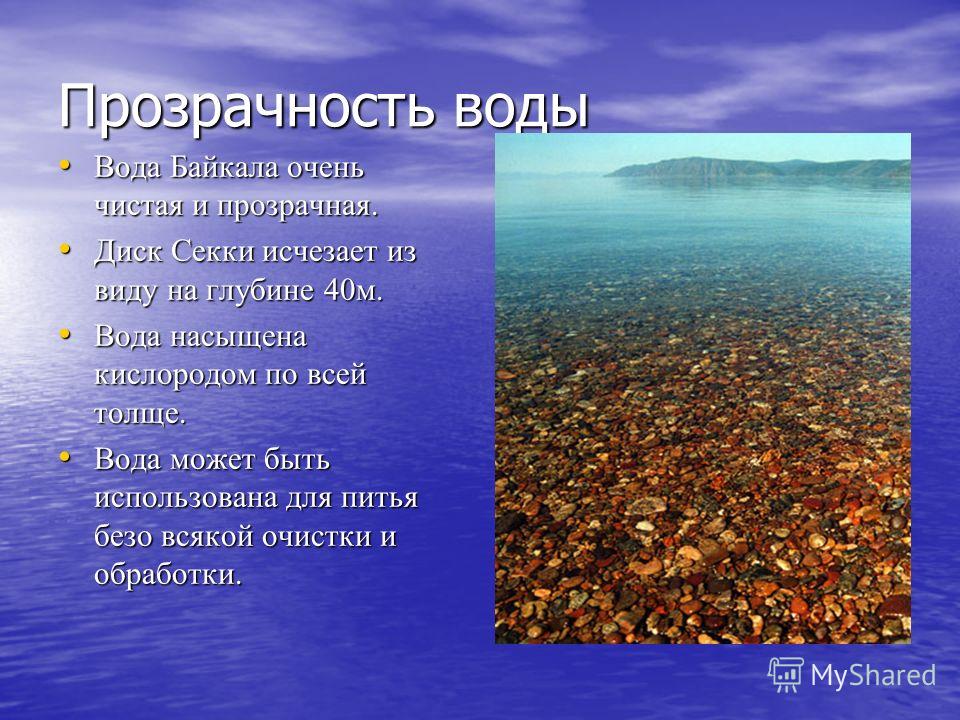 Прозрачность воды Вода Байкала очень чистая и прозрачная. Вода Байкала очень чистая и прозрачная. Диск Секки исчезает из виду на глубине 40м. Диск Секки исчезает из виду на глубине 40м. Вода насыщена кислородом по всей толще. Вода насыщена кислородом