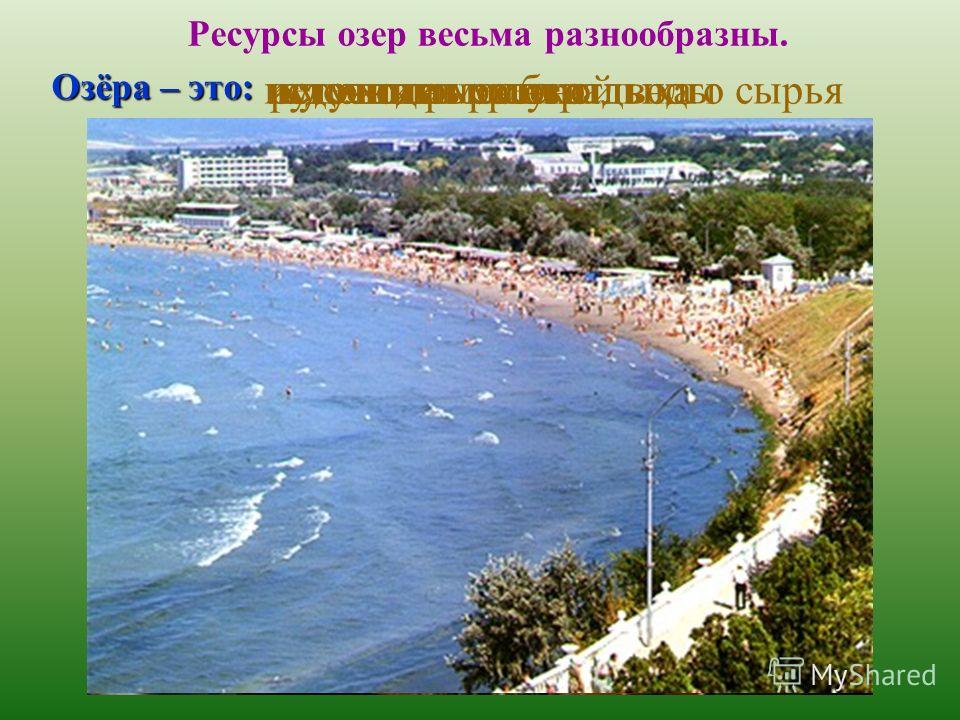 Побережье Кавказа