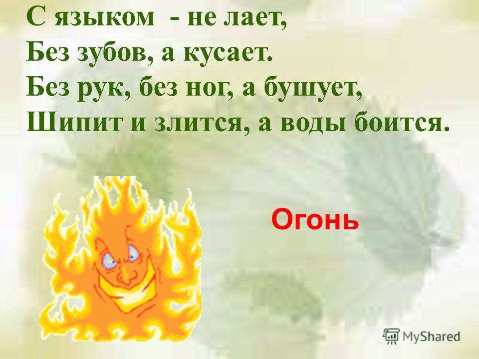 Картинки осина летом Картинки осина летом