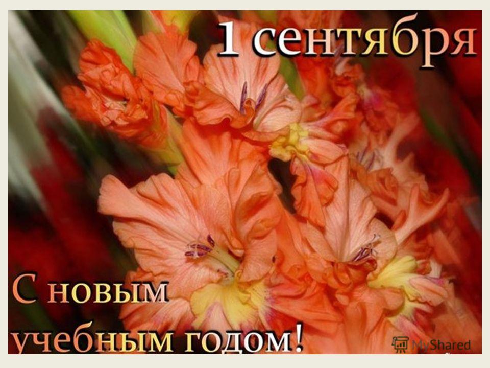 Шпатлевка потолка: как правильно шпаклевать потолок 100 Шпатлевка потолка: как правильно шпаклевать потолок 11