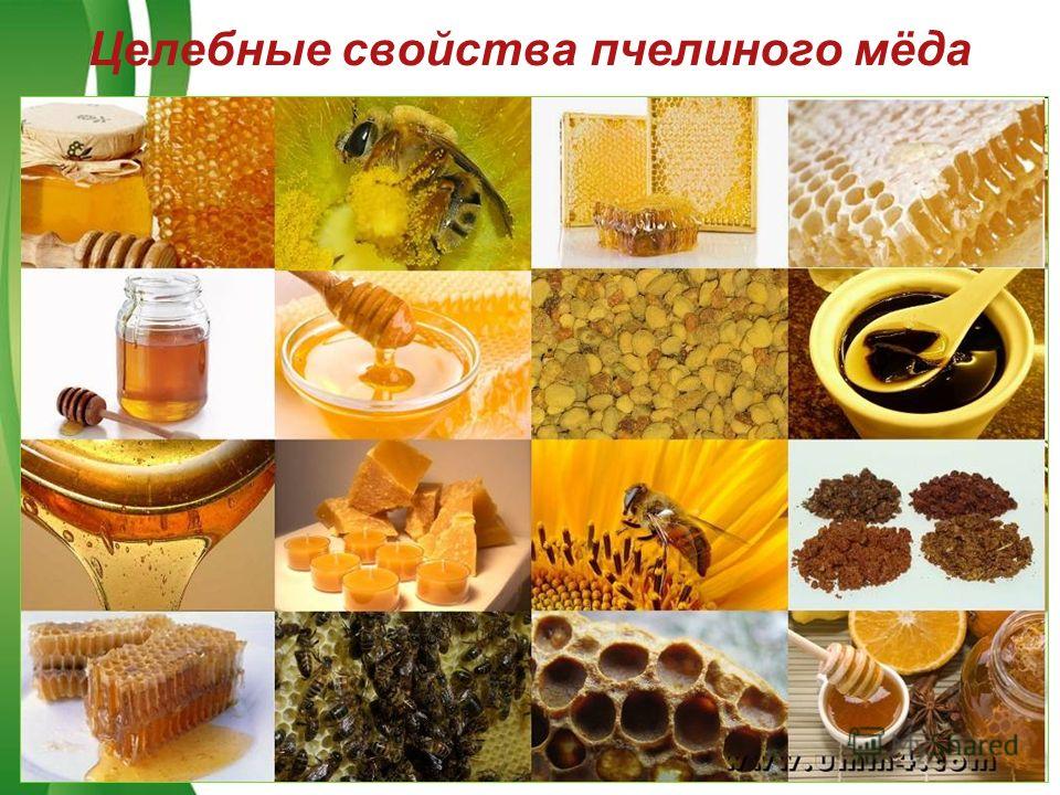 Free Powerpoint TemplatesPage 14 Целебные свойства пчелиного мёда