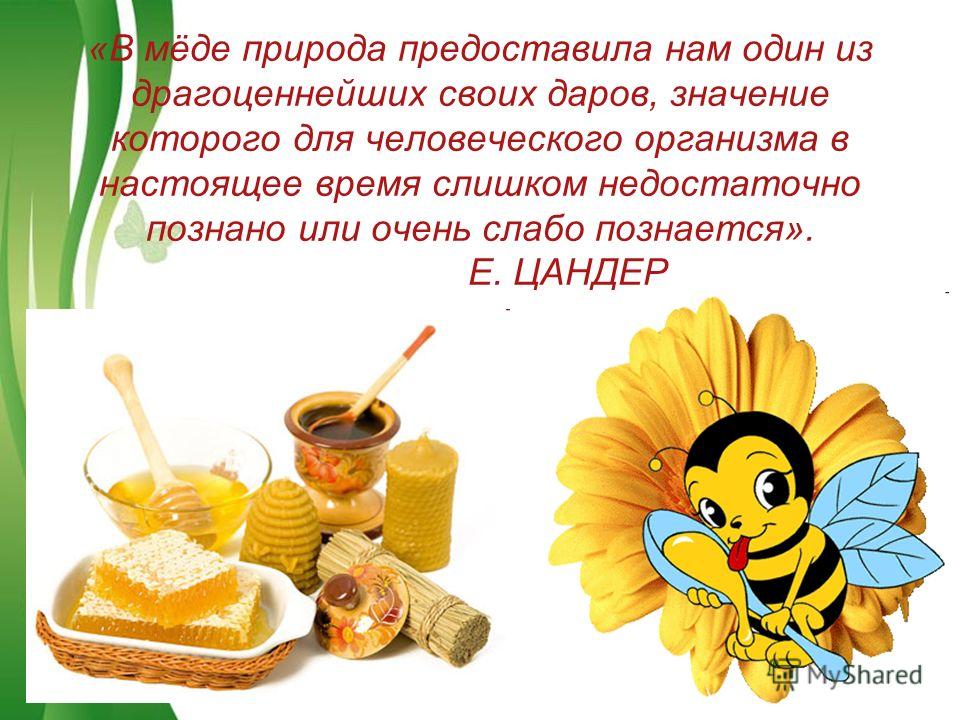 Free Powerpoint TemplatesPage 2 «B мёде природа предоставила нам один из драгоценнейших своих даров, значение которого для человеческого организма в настоящее время слишком недостаточно познано или очень слабо познается». Е. ЦАНДЕР