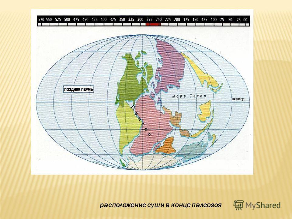 паразиты от суши фото паразиты от суши фото