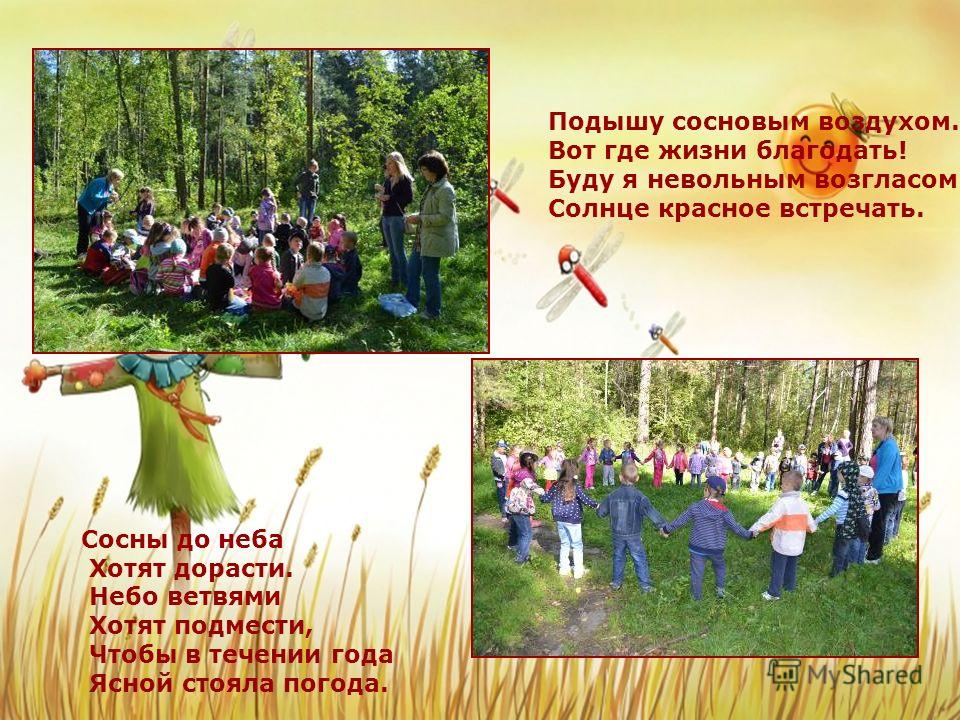Красотами родной природы Красотами родной природы