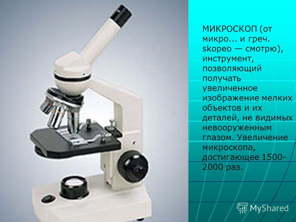Фото Микроскопа 5 Класс Биология