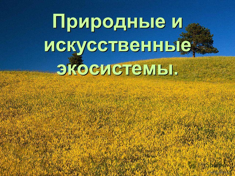 Экосистема Презентация 11 Класс