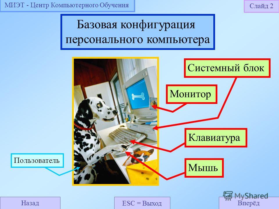 Программа обучения пк скачать