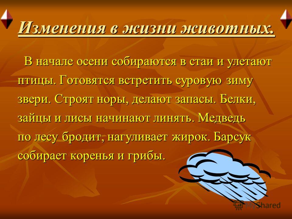 Какое явление из жизни растений изображено на рисунке Foto-Gadanie.ru