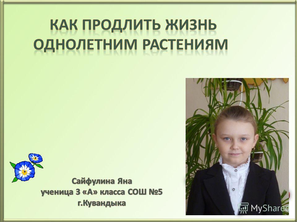 как определить какие глисты у человека как определить какие глисты у человека