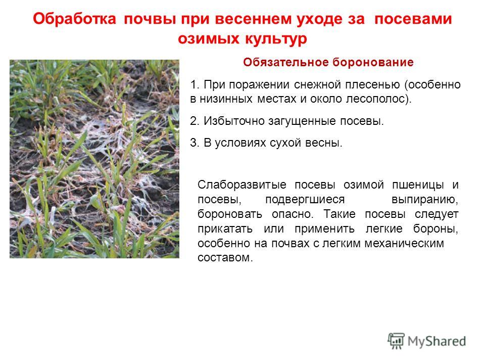 Детские прически для девочек всех возрастов - Lokon Возможно выехать за границу сразу после свадьбы?