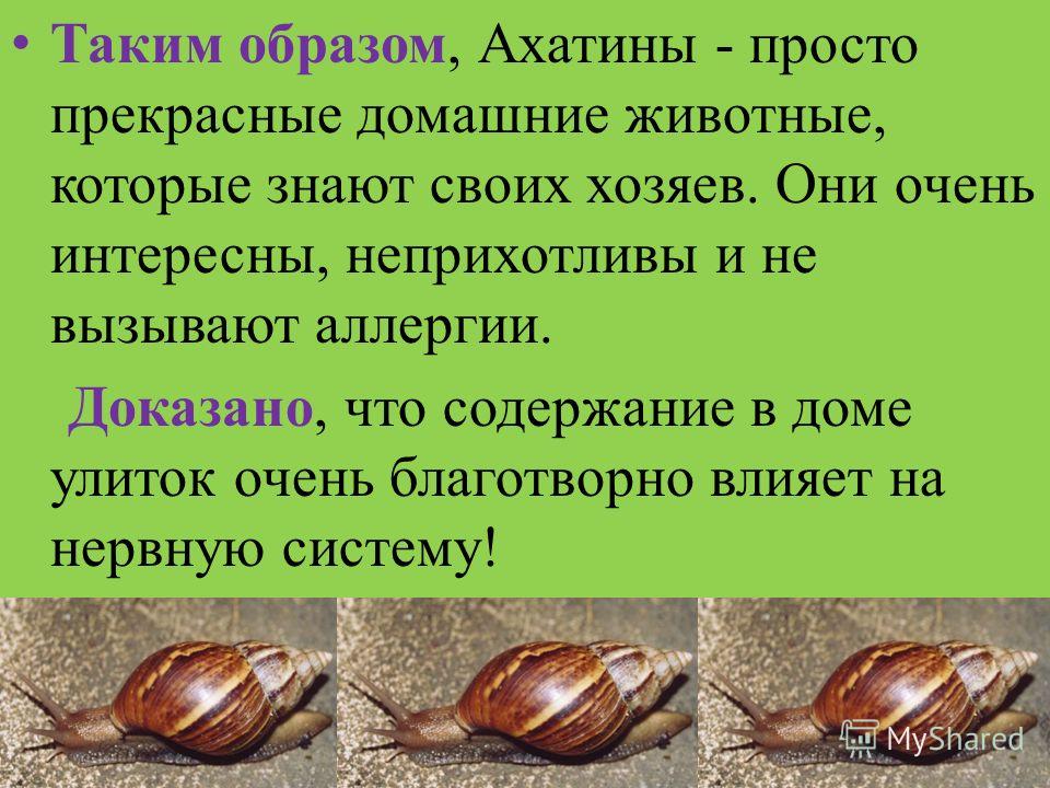 Постройка краулера своими руками Постройка краулера своими руками