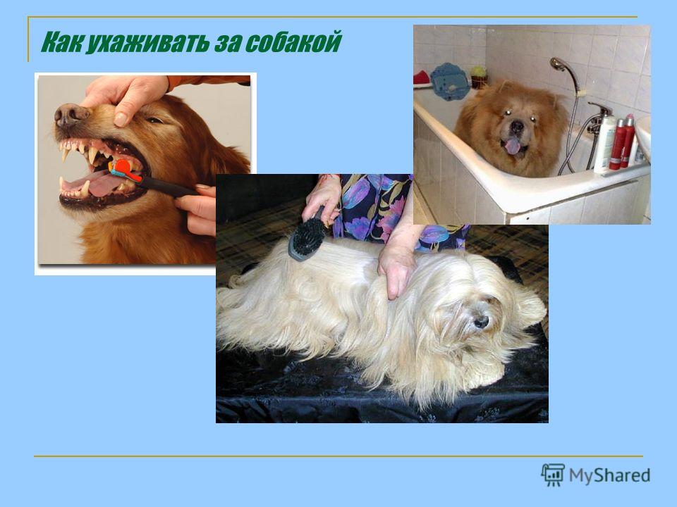 Уход за венозным портом Уход за венозным портом