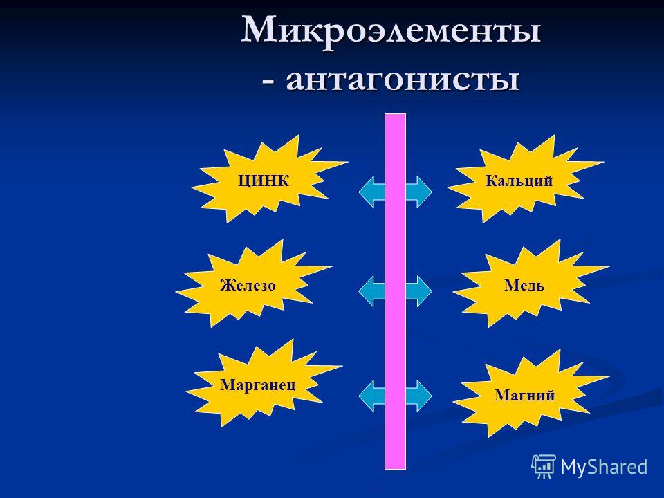 Реферат На Тему Витамины И Микроэлементы