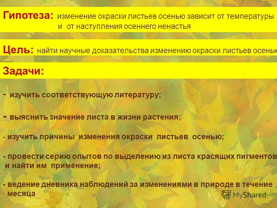 С чем связано изменение окраски листьев С чем связано изменение окраски листьев