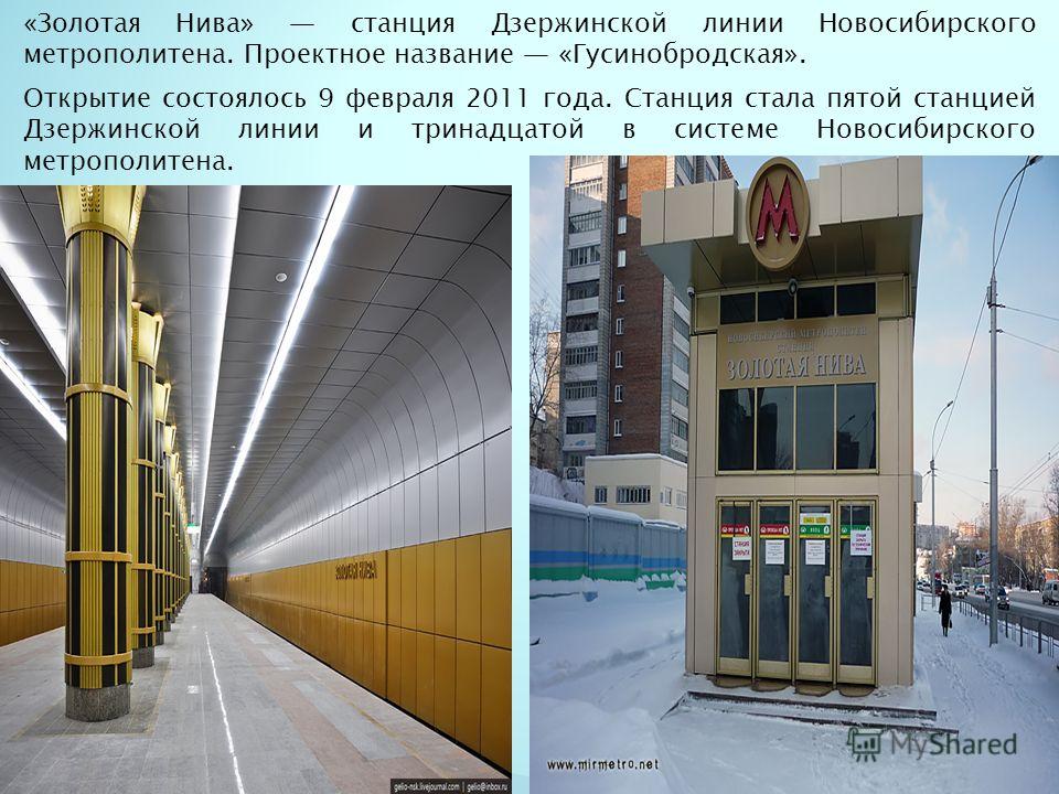 Проститутки Город Новосибирск Метро Золотая Нива Толстушки