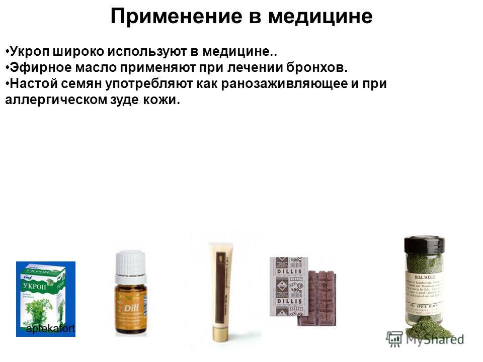 Применение в медицине Укроп широко используют в медицине.. Эфирное масло применяют при лечении бронхов. Настой семян употребляют как ранозаживляющее и при аллергическом зуде кожи.