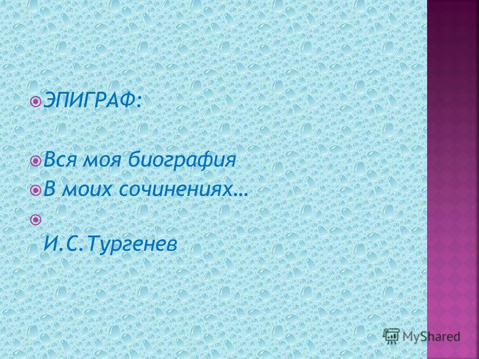 ЭПИГРАФ: Вся моя биография В моих сочинениях… И.С.Тургенев